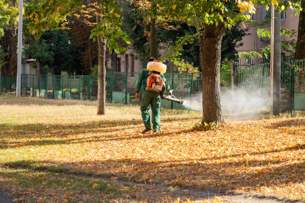 Best Local Pest Control Services  in Rosedale, MS